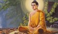 Buddha “Connections and Oneness”. Feb 6, 2016