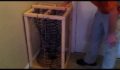 Orgone: Life Force Free Energy
