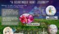 Hybrid Children Adventure (Virtual) Playshop Feb 1st-28th
