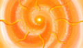 Beautiful moment with  Arcturian