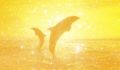 Message from 9D arcturian council. channeled by daniel scranton