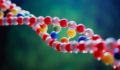 What percentages of DNA do I have in my kids?